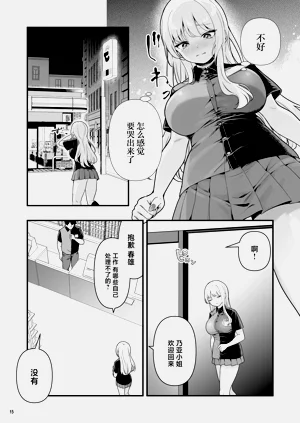 第17页图