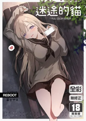 迷途的貓圖