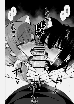 第43页图