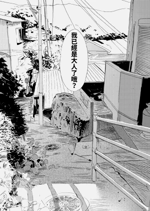 第102頁圖