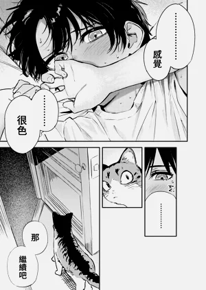 第43頁圖