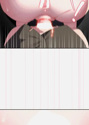 第335頁圖
