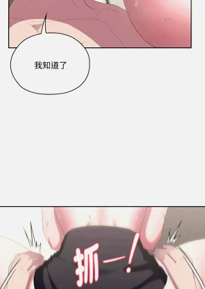 第515頁圖