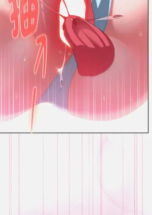 第516頁圖
