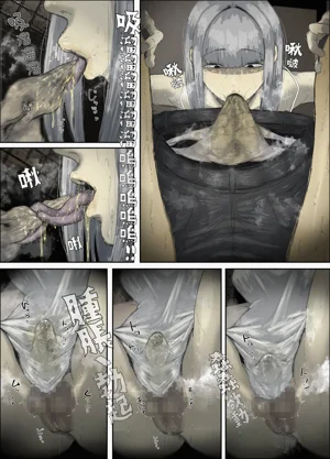 第17页图