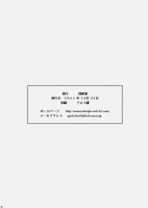 第29页图
