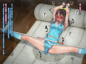 第254頁圖
