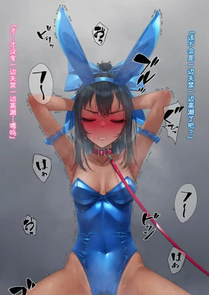 第378頁圖