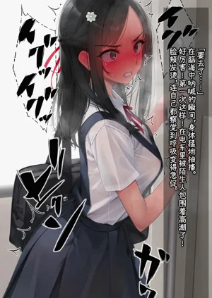 第526頁圖
