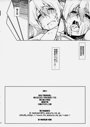 第17页图