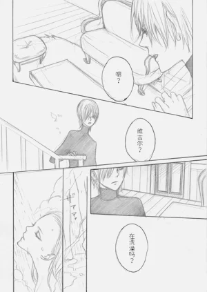 第8页图