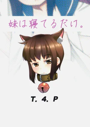 第28頁圖