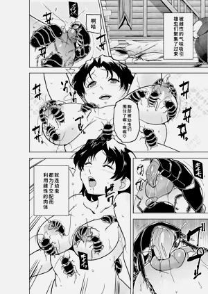 第17页图