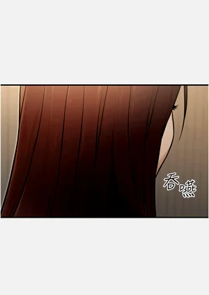 第303頁圖