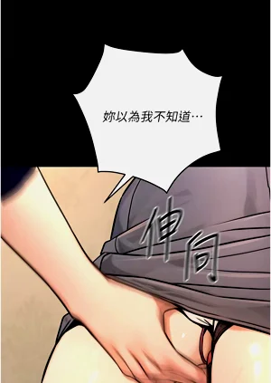 第379頁圖