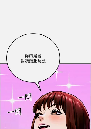 第446頁圖