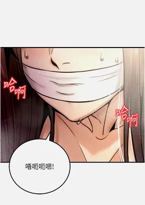 第448頁圖