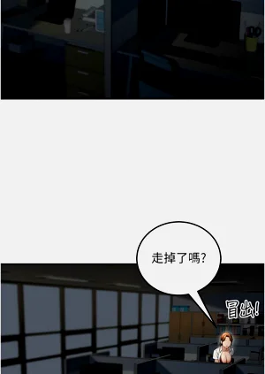 第466頁圖