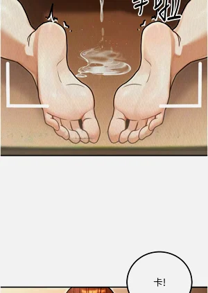 第510頁圖