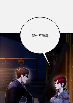 第520頁圖