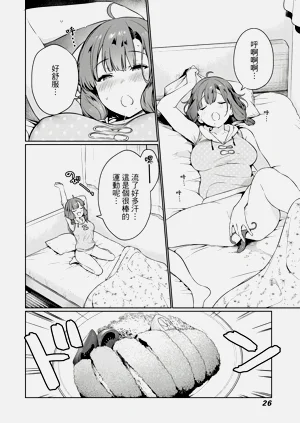 第27頁圖