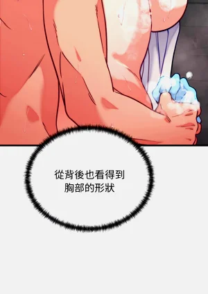 第196頁圖