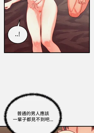 第238頁圖