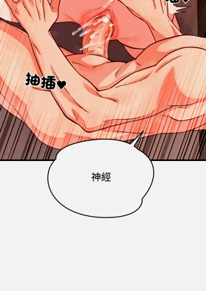 第248頁圖