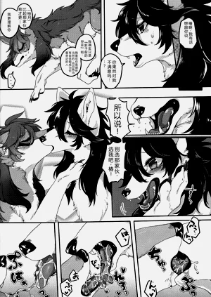 第17页图