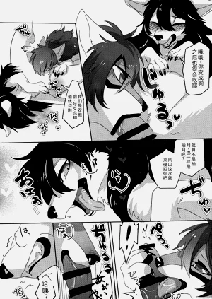 第8页图