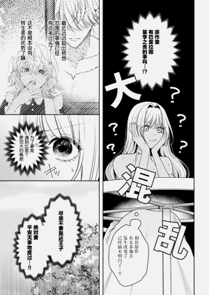 第504頁圖
