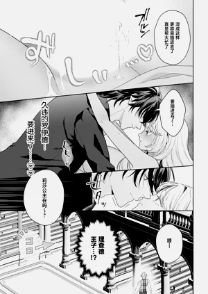 第528頁圖