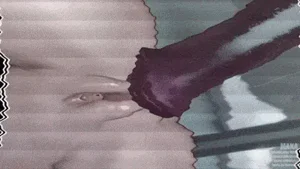 第52頁圖