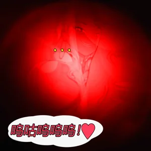第108頁圖