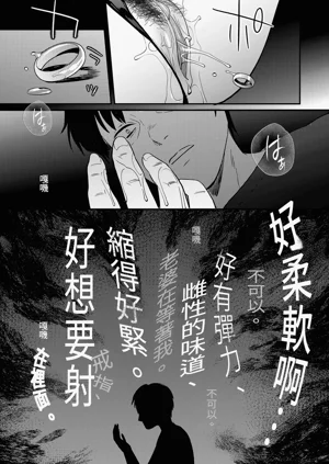 第52頁圖