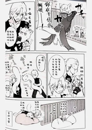 第13頁圖