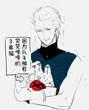 第39頁圖