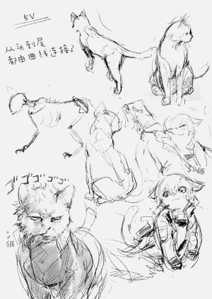 第47頁圖
