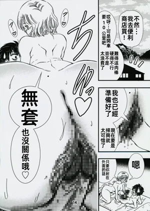 第13頁圖