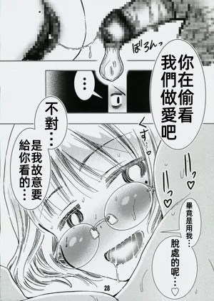 第27頁圖