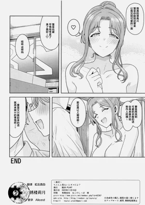 第33页图
