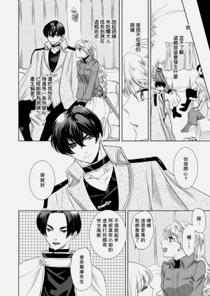 第204頁圖
