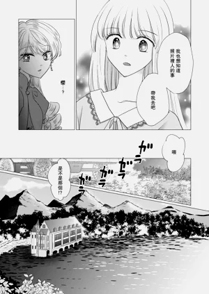 第404頁圖