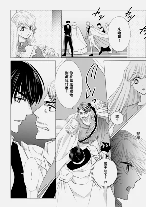 第496頁圖