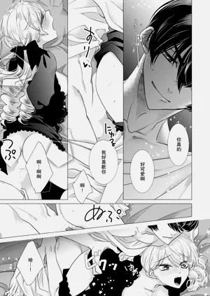 第509頁圖