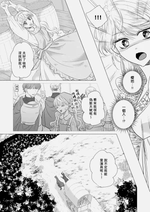 第524頁圖