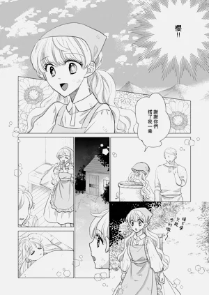 第528頁圖