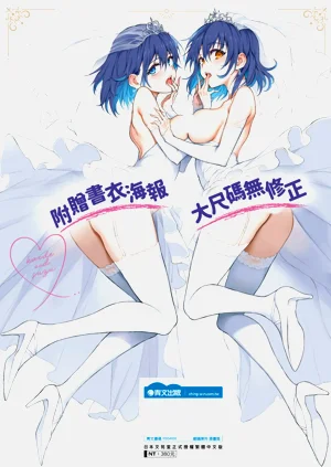 第238頁圖