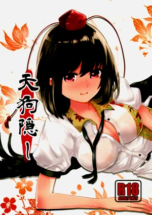 第1页图
