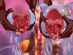 第355頁圖